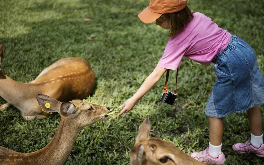 Got Kids or Grandkids? Here are 10 Cool Places Near Creekshaw to Wow Them!