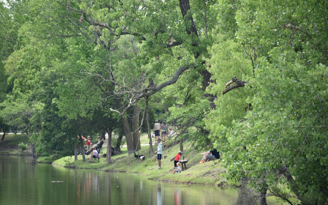 Enjoying Creekshaw: Where to Go and What to See